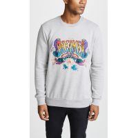 Sweatshirt In Grey With Dreamer Embroidery